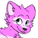 twinkraccoon