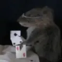 kaysebugg's Profile Picture