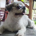 mr_snowmanz#1482's avatar