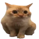 kartax