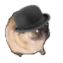Swag Pug