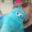 pig6