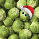 sprout02283