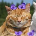 whosrosez