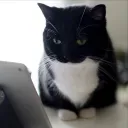 skoo_fr
