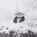.svennnn