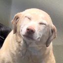 vrb7gtnmhy6#5947's avatar