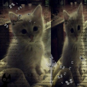 avatar kicia