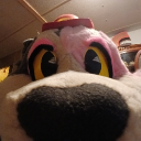 avatar JOLLY beau ho ho