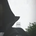 _nm1337