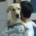 namanvrati