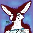 zicco