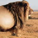 Big