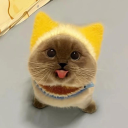 avatar ari !! ★ 🍰