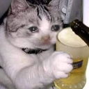 salamancamanca's Avatar