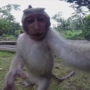 avatar DigiornioDrip