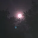 cunemo_272