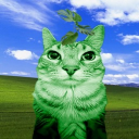 avatar Jokey