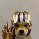 zeusxzx