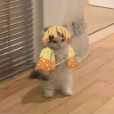 agayratullaev#4722's avatar