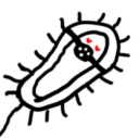 avatar bacillus