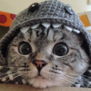 silkywake#4932's avatar