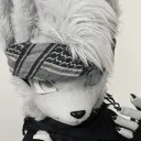 luke_aokami
