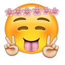 otimizadora