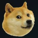 topdog778032
