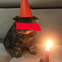 avatar same year toast