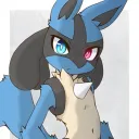 vlkr1