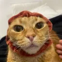 lilpiercing