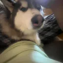 jonpw