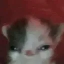 vulgo_.tezon