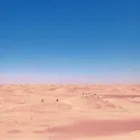 ewbf