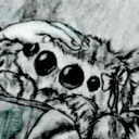 green_shroom