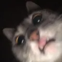 nedasmi