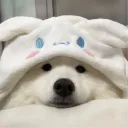 ninewx_