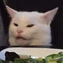 mthrtrckr