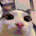 avatar Fortress Goldenwolf