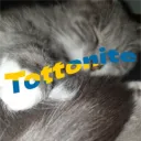 tottonite