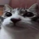 qustnblyred