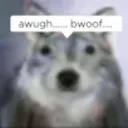 moonpupz