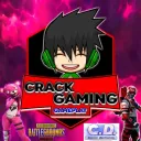 crack_gamingyt7497