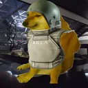 ra4v