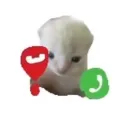 _.spoingus._