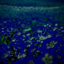 avatar ℳ𝓇-𝒳𝑒𝓃𝑜𝓃-𝒯