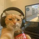 petexs_
