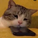 piekush