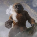 avatar RTX 5050 ti 8 GB